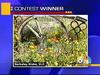 Hot Spot - Flower Contest Winner.